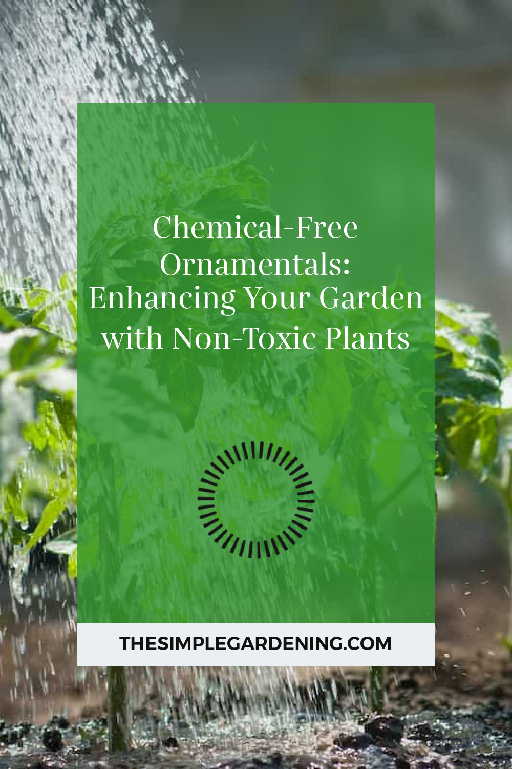 Chemical-Free Ornamentals: Enhancing Your Garden with Non-Toxic Plants